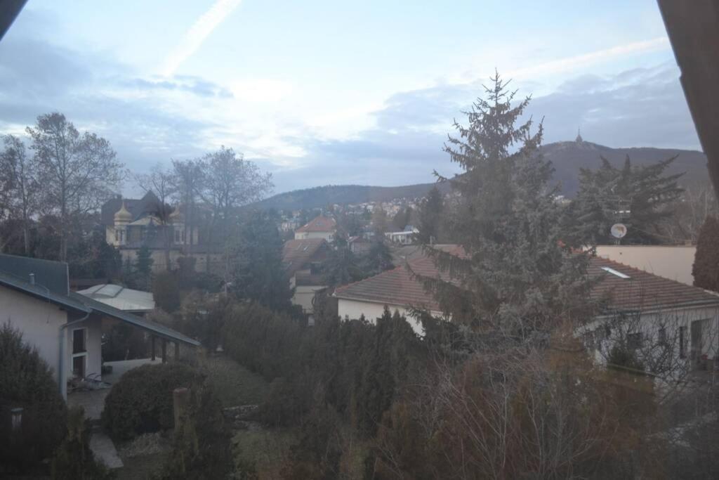 Appartement In Nitra Under The Zobor-Hill Zewnętrze zdjęcie
